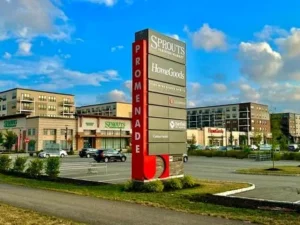 Tall freestanding commercial pylon sign with multiple tenant panels beside a shopping center.